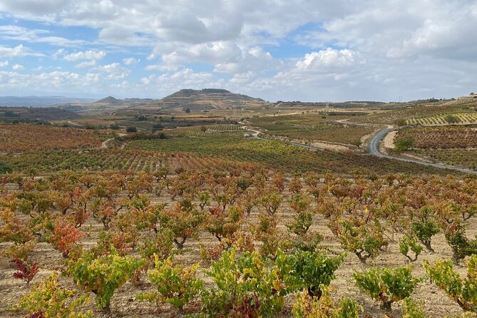 Visit Marques de Riscal & Boutique Winery from Bilbao - Value vs. what you give up on this 5 to 6 hour timeline