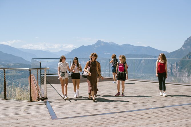 Visit of the vineyard on Mount Mezzocorona and tasting of 3 wines - Key Points Worth Your Time