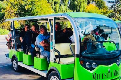 Visit the Largest Winery in the World and Manuc Bei Mansion - The 1.5-Hour Underground Tour and What You Actually Taste