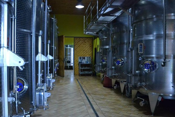 Visit the Marchesi de Cordano winery and taste its wines - Key Takeaways Before You Go