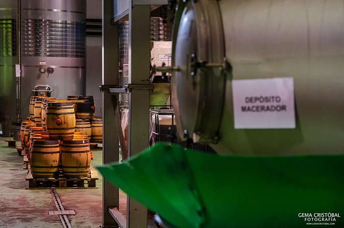 Visit the Oldest Winery of Malaga and Wine Tasting - Practical tips so the 12:00 start doesn’t trip you up