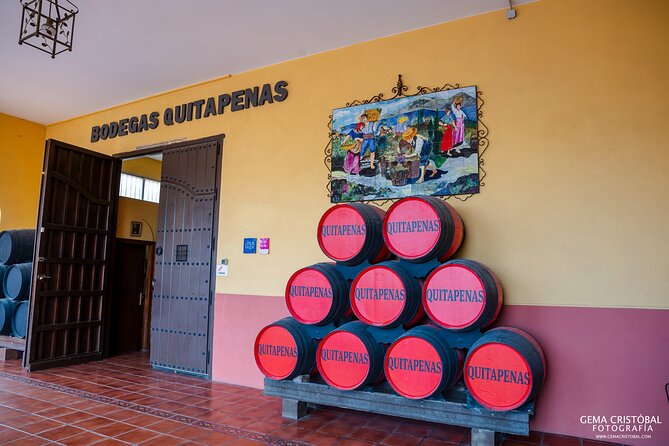 Visit the Oldest Winery of Malaga and Wine Tasting - Vineyard Hall to Breeding Hall: where the wine story becomes concrete