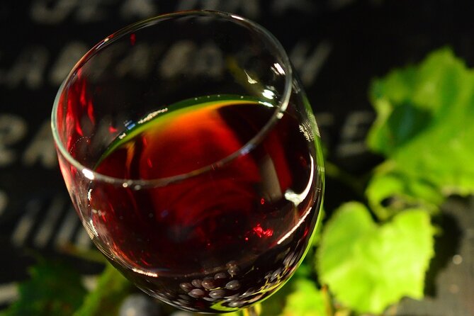 Visit to a local Vineyard - Pickup and timing: how the logistics work for a 2–3 hour outing
