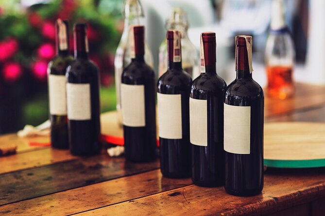 Visit to a local Vineyard - Snacks, water, and the pacing that keeps it enjoyable