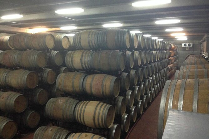Visit to a Winery in Salento with Wine tasting and light lunch. From Lecce - Lecce Pickup and the Real Meaning of a 3-Hour Winestyle Day