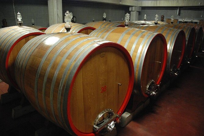 Visit to a Winery in Salento with Wine tasting and light lunch. From Lecce - What the Sommelier Will Teach You (and How to Get More Out of It)