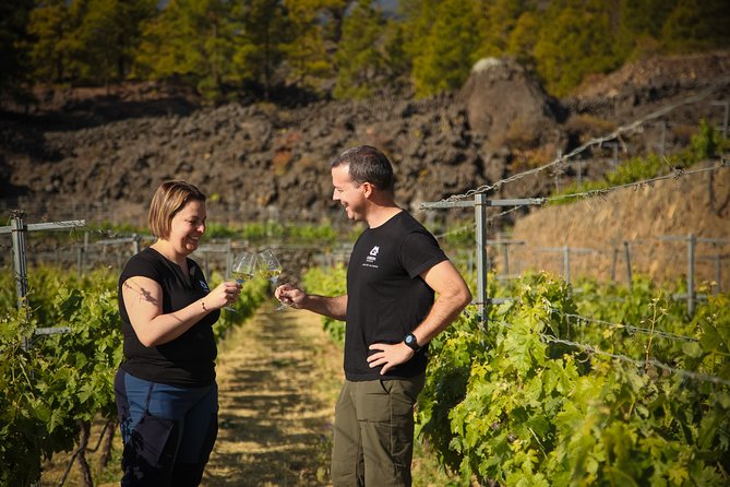 Visit to Arafo Mountain Vineyard and Organic Wine Tasting - Key highlights you’ll care about