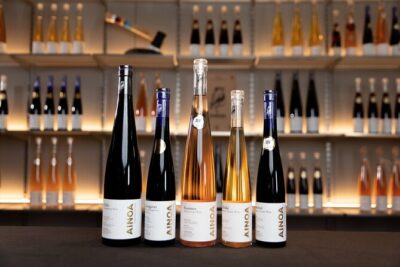 Visit to Authentic Finnish Berry Winery, Tasting Included - The Lepaa Stop: Guided Views and a Production Area Tour