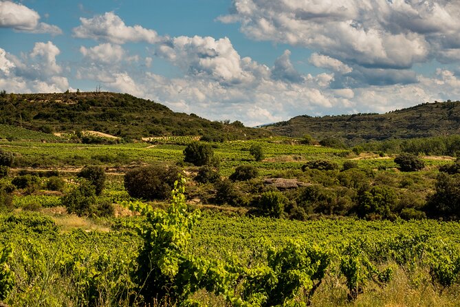 Visit to the winery with a tasting of 3 wines and appetizers - The Tasting Setup: Three Wines, Three Appetizers, Real Pairing Talk