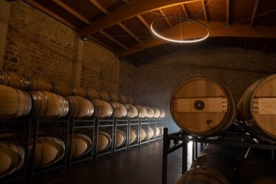 Visit to the winery with a tasting of 3 wines and appetizers - Inside Bodegas TIHOM: Calm Craft and Uncommon Rioja