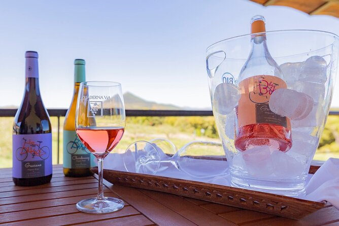 Visit to the Winery with Wine Tasting and Appetizers in Navarra - Stepping Into Bodegas Quaderna Via: From Cellar Welcome to Wine Bar