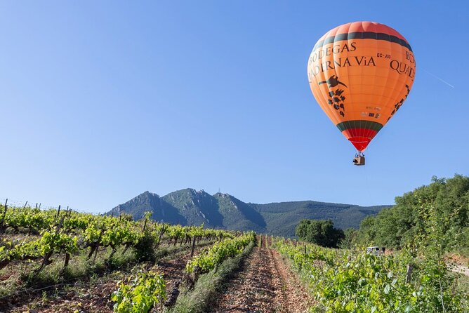 Visit to the Winery with Wine Tasting and Appetizers in Navarra - Group Size, Pace, and Who This Tour Fits Best