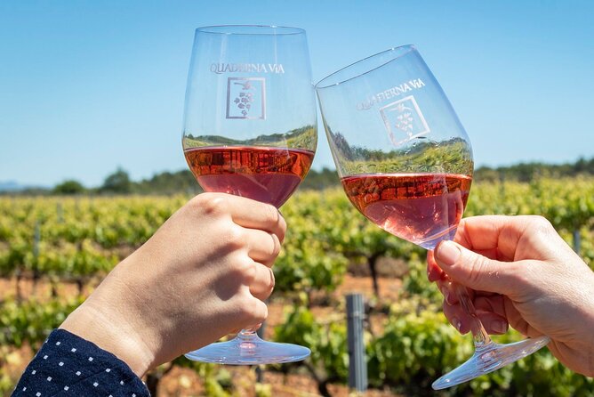 Visit to the Winery with Wine Tasting and Appetizers in Navarra - Tips to Get More Out of Your Visit (Without Overthinking It)