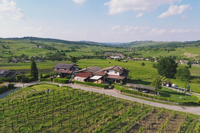 Visit winery and vineyards, tasting 4 wines with 3 matching dishes - Why Calatroni’s Oltrepò Pavese setting feels worth your time