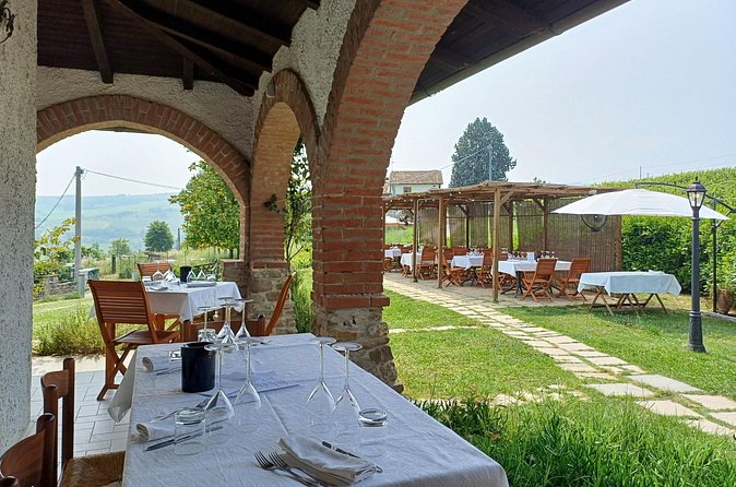 Visit winery and vineyards, tasting 4 wines with 3 matching dishes - Into the cellars: where aging turns into flavor