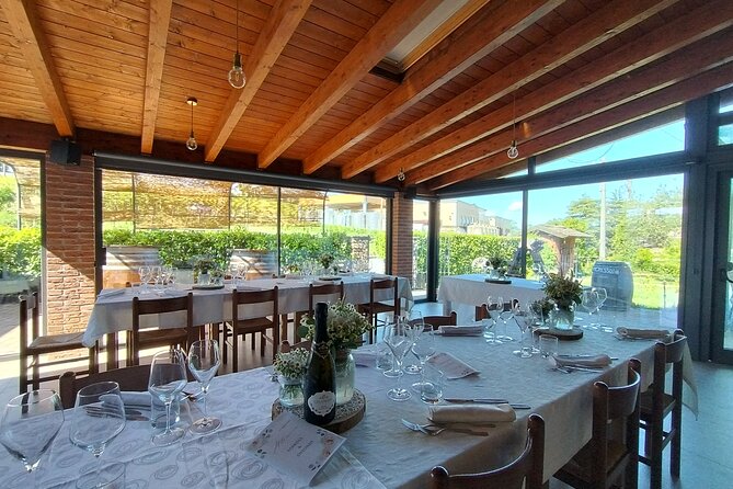 Visit winery and vineyards, tasting 4 wines with 3 matching dishes - Price and value: what $48.37 buys you in practice