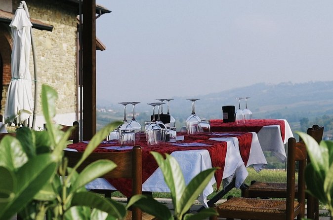 Visit winery and vineyards, tasting 4 wines with 3 matching dishes - Timing, group size, and what to bring