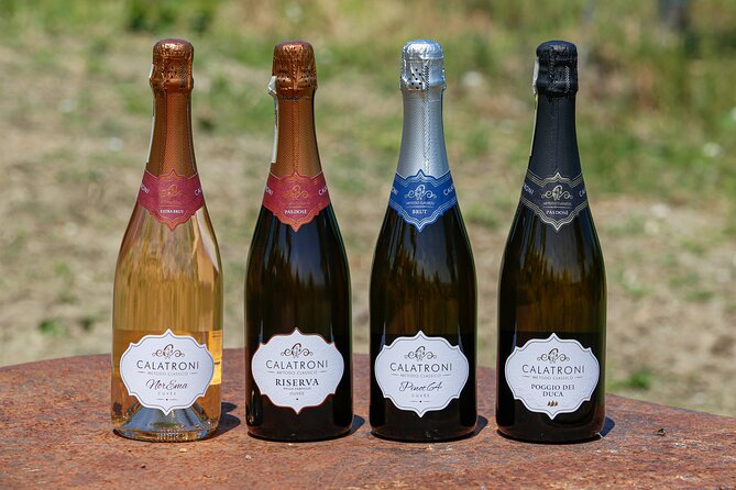 Visit winery and vineyards, tasting 4 wines with 3 matching dishes - Stop 1 at Calatroni: organic vineyards and the Via di San Colombano story