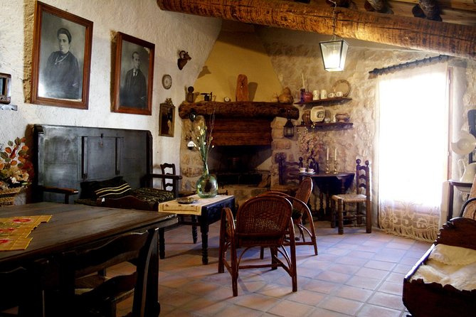 Visit winery and wine tasting - Key highlights at Celler Menescal in Tarragona