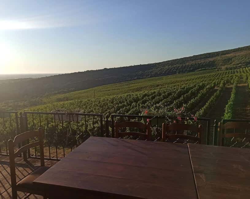 Vlora: Zvernec, Ardenica, Local Winery & Food Experience - Logistics, Pace, and Group Size: Why It Feels Easy