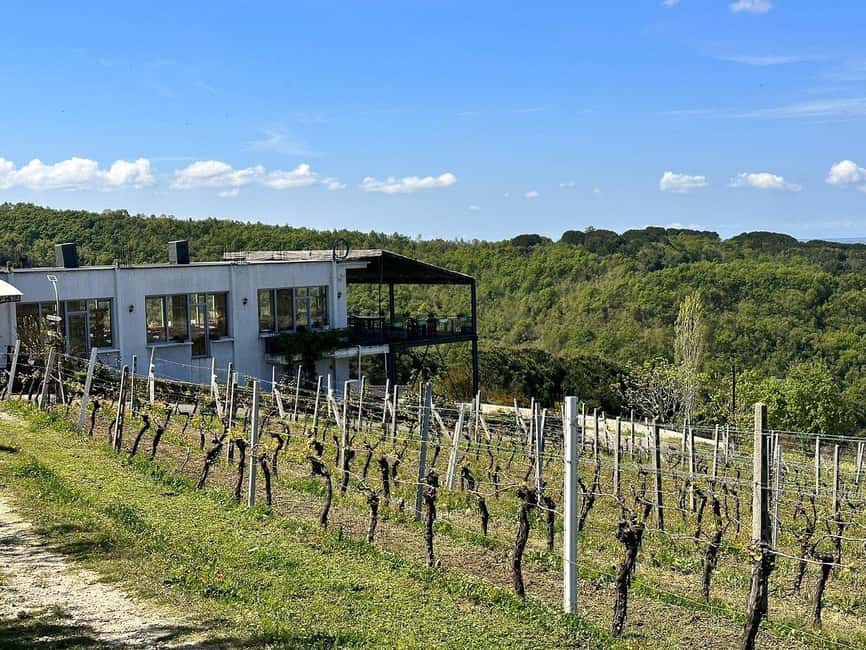 Vlora: Zvernec, Ardenica, Local Winery & Food Experience - Who This Tour Fits Best (and Who Should Skip It)
