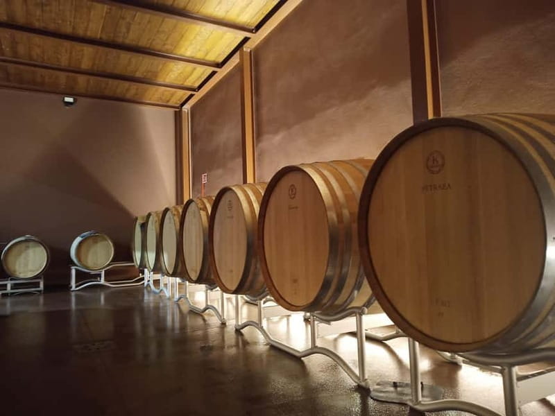 Volterra: Winery Guided Tour and Experience with Tasting - Entering Terre de’ Pepi: the winery tour that starts at the grapes