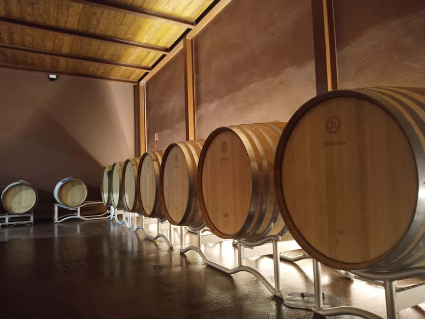 Volterra: Winery Tour with Tastings and Panoramic Views - From the terrace to the vineyards: the view part is real