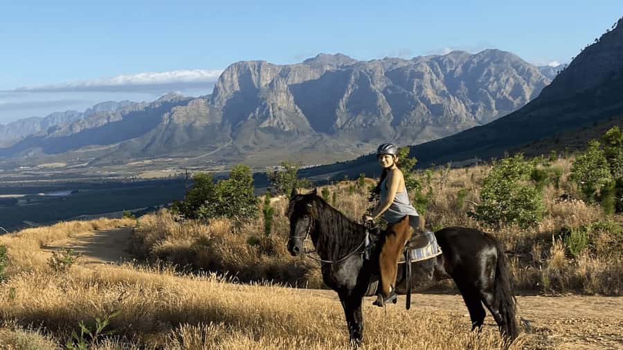 Vrede en Lust Wine Estate:1-Hour Horseback Riding Experience - Key Points You’ll Actually Care About