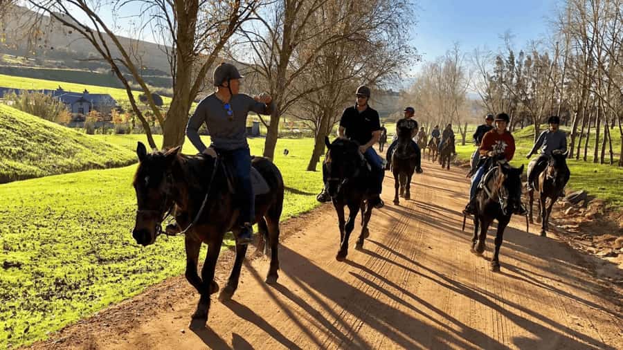 Vrede en Lust Wine Estate:1-Hour Horseback Riding Experience - Vrede en Lust Horseback Ride: The Franschhoek “Worth It” Choice