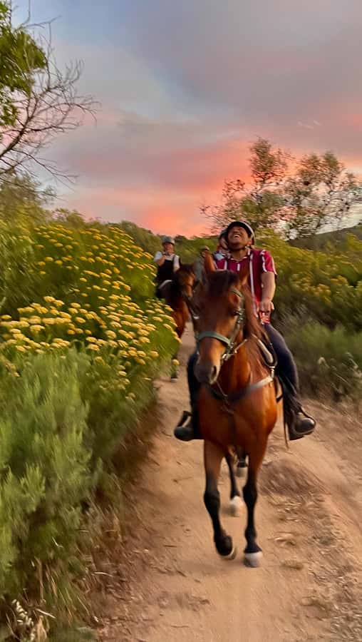 Vrede en Lust Wine Estate:1-Hour Horseback Riding Experience - Horses and Guides: Calm Confidence for First-Timers