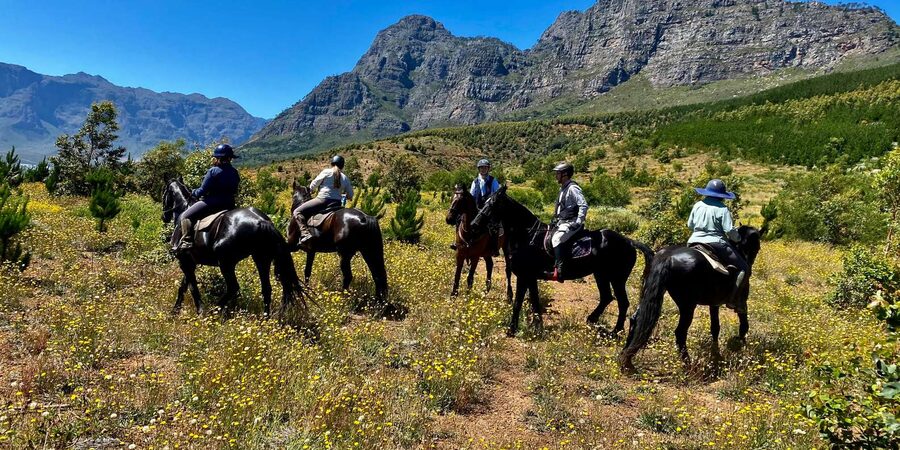 Vrede en Lust Wine Estate:1-Hour Horseback Riding Experience - Price and Value: $75 for an Hour That Feels Focused