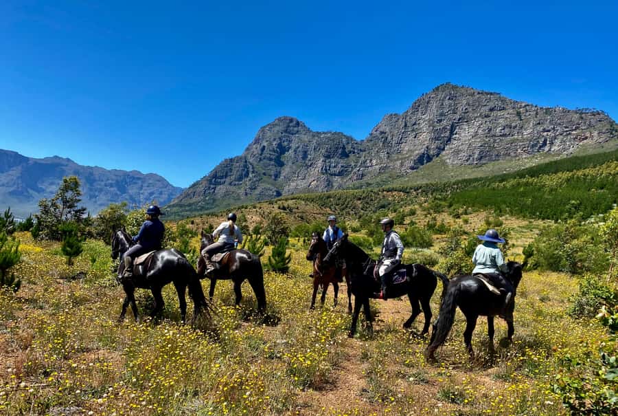 Vrede en Lust Wine Estate:1-Hour Horseback Riding Experience - Who This Ride Is Best For (And Who Should Skip It)