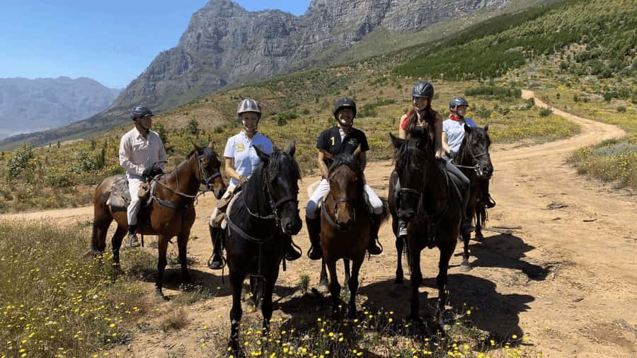 Vrede en Lust Wine Estate:1-Hour Horseback Riding Experience - Your 1-Hour Plan: What Happens Before You Even Saddle Up