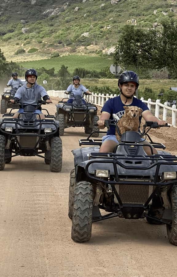 Vrede en Lust Wine Estate: 1H Quad Bike Trail - What You’ll See During the Ride (And What You Might Miss)