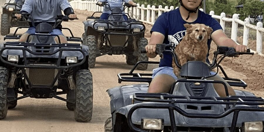 Vrede en Lust Wine Estate: 1H Quad Bike Trail - Timing Tips That Can Save Your Day