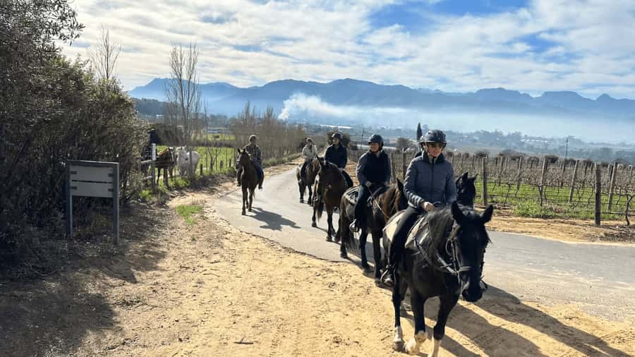 Vrede en Lust Wine Estate: 2H Horse Trail - Key points at a glance