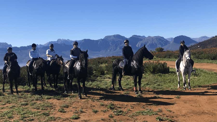 Vrede en Lust Wine Estate: 2H Horse Trail - A 2-Hour Ride Through Vrede en Lust’s Vineyards and Mountain Edges