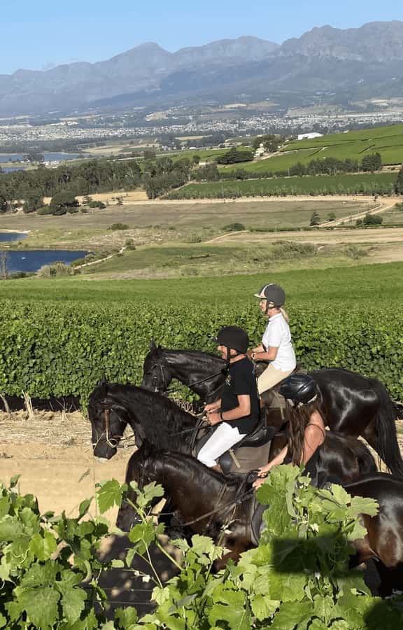 Vrede en Lust Wine Estate: 2H Horse Trail - The Gentle Trail: Farm Lanes, Vine Rows, and Big Views