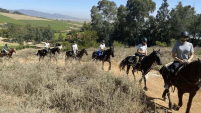 Vrede en Lust Wine Estate: 2H Horse Trail - Meeting Your Horse and Getting Set Up Safely