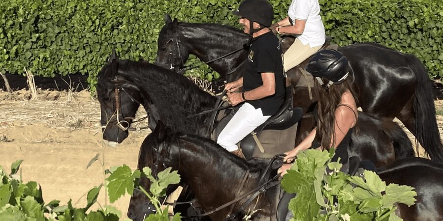 Vrede en Lust Wine Estate: 2H Horse Trail - Price and What You’re Actually Paying For at $180