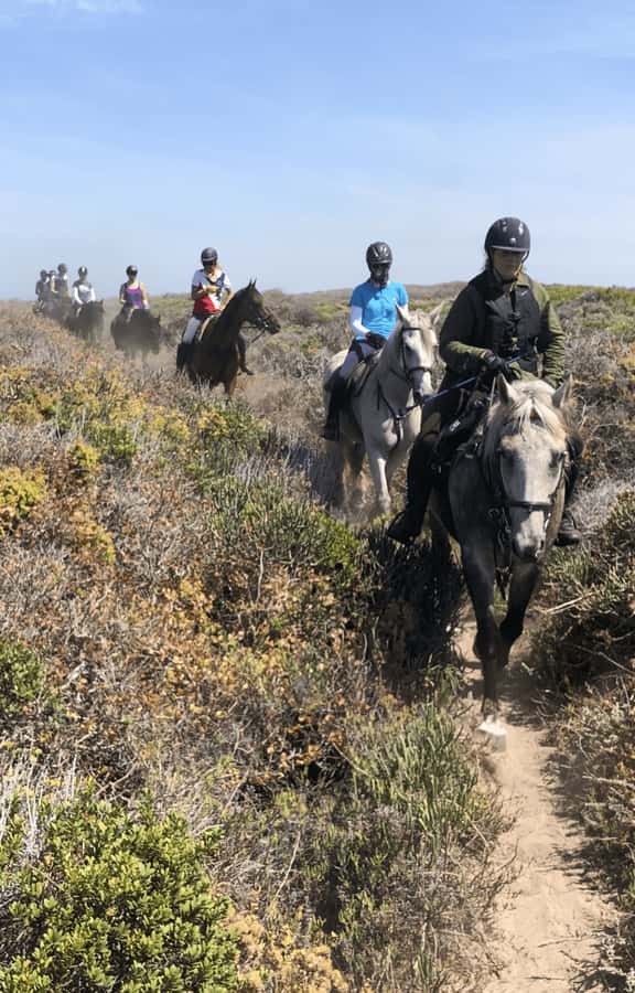 Vrede en Lust Wine Estate: 2H Horse Trail - Lust Bistro & Bakery After the Saddle: Food, Wine, and Time to Unwind