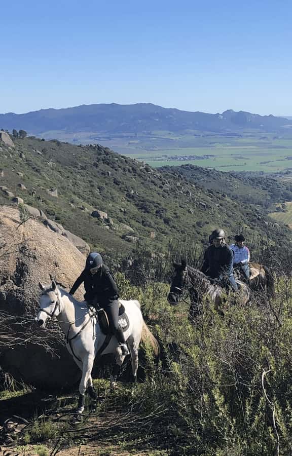 Vrede en Lust Wine Estate: 2H Horse Trail - Who This Horse Trail Is Best For (and Who Should Skip It)