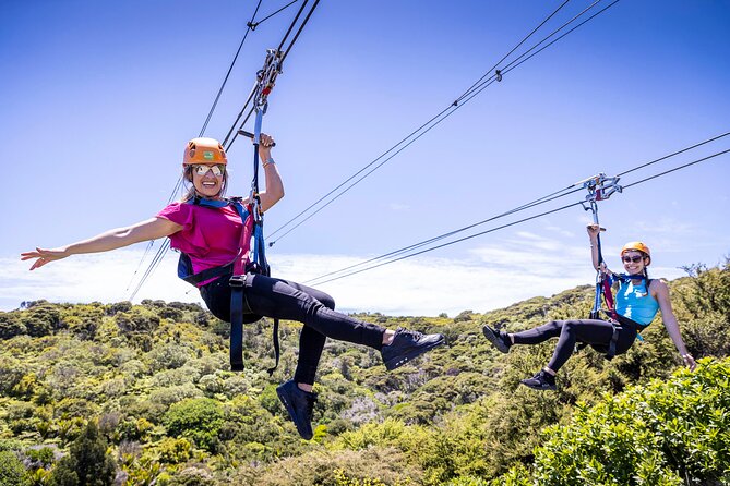 Waiheke Island Day Tour: Ziplining, Wine Tasting & Vineyard Lunch - Waiheke Island by Ferry and Zipline: Why This Day Tour Works