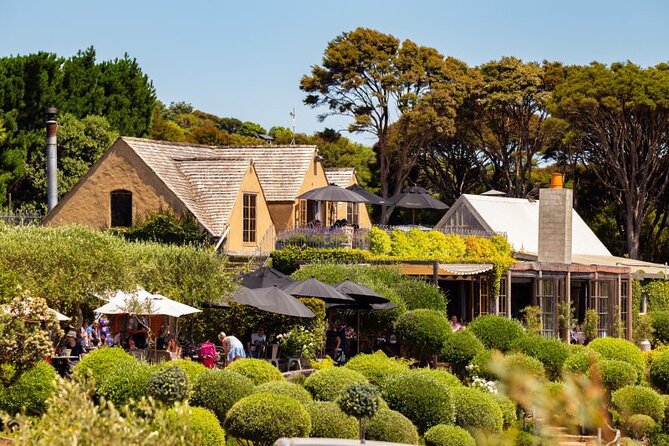 Waiheke Island Day Tour: Ziplining, Wine Tasting & Vineyard Lunch - Price and Value: What $266.85 Is Really Buying