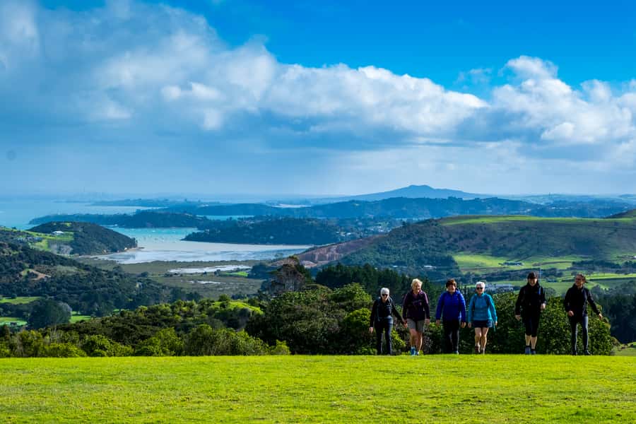 Waiheke Island: Premium Vineyard, Wine Tasting and Bush Walk - Waiheke in 5 Hours: what this walk-and-wine combo delivers