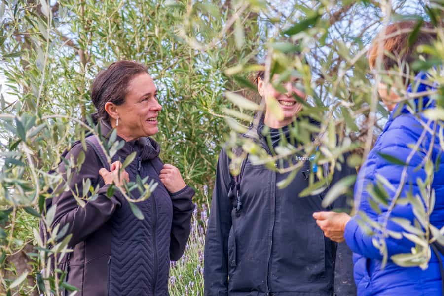 Waiheke Island: Premium Vineyard, Wine Tasting and Bush Walk - Atawhai Whenua Forest and Bird Reserve: the conservation walk that gives meaning to the views