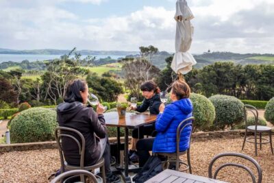 Waiheke Island: Premium Vineyard, Wine Tasting and Bush Walk - Getting there and meeting your guide at Matiatia