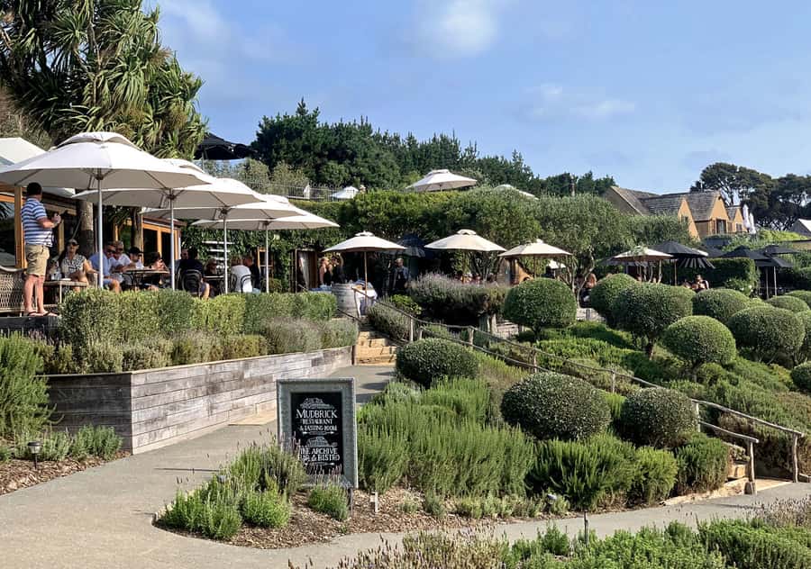 Waiheke Island: Premium Vineyard, Wine Tasting and Bush Walk - Price and value at $269 per person (what you’re really paying for)