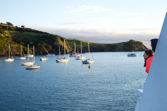 Waiheke Wine and Dine - Batch Winery - Batch Winery lunch and tastings: where the value shows up