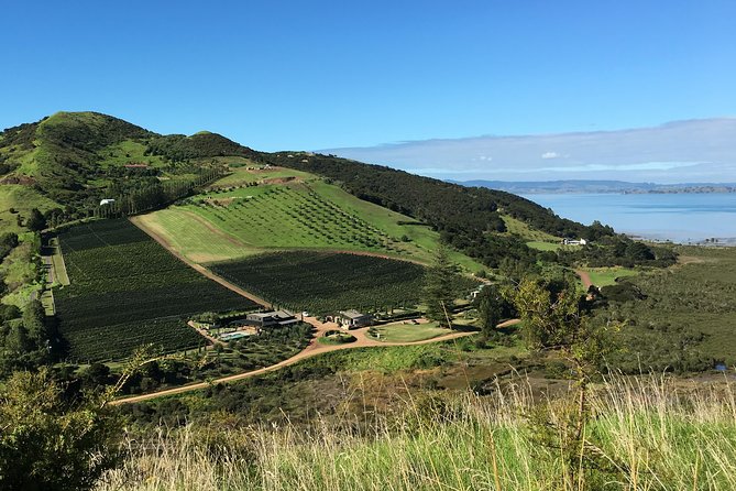 Waiheke Wine and Dine - Batch Winery - Food matters: the multi-course lunch strategy
